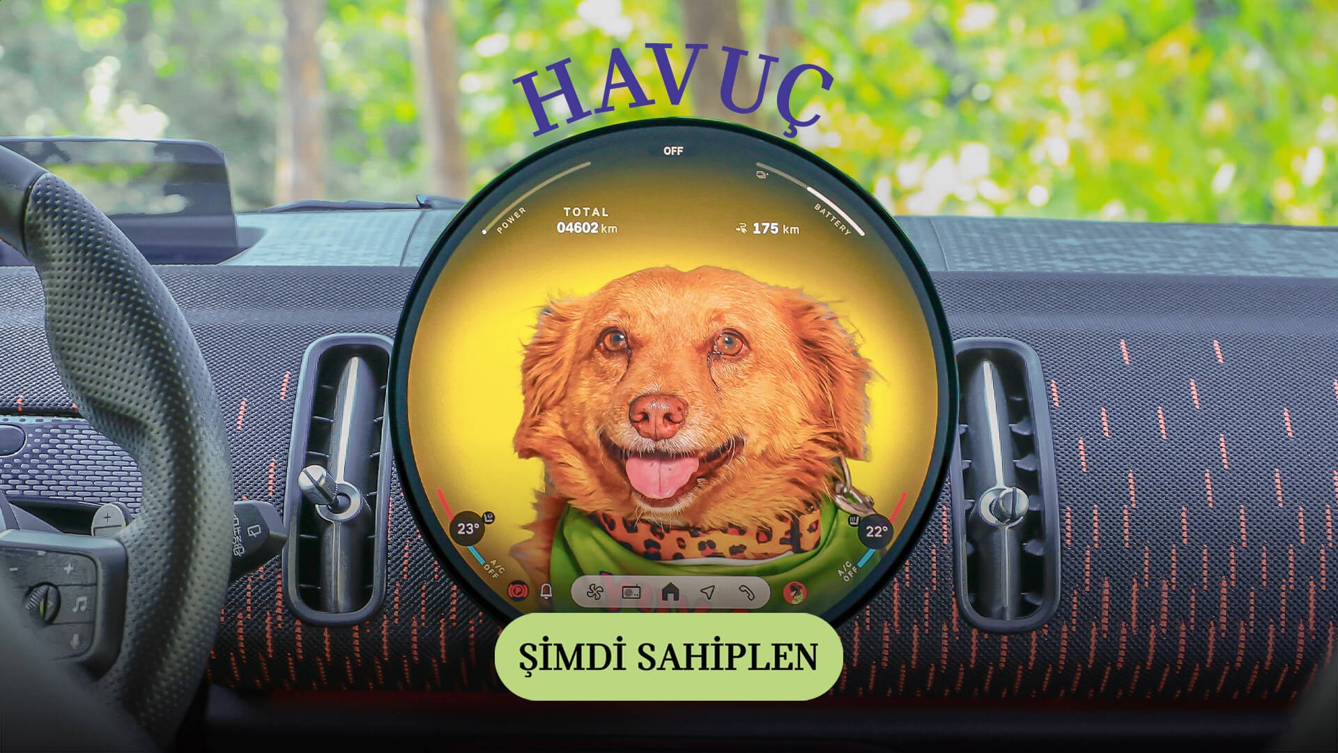 MINI Pati | MINI Türkiye